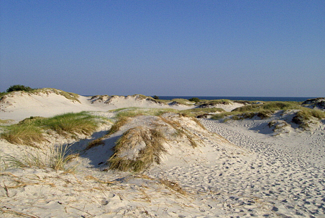 dueoddestrand03