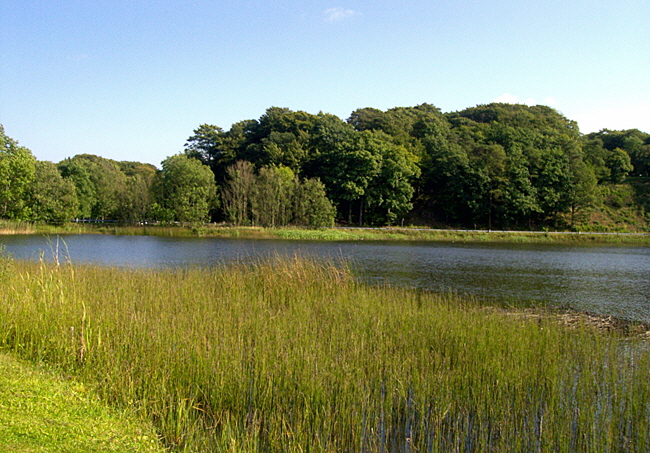 landschaft bornholm 01