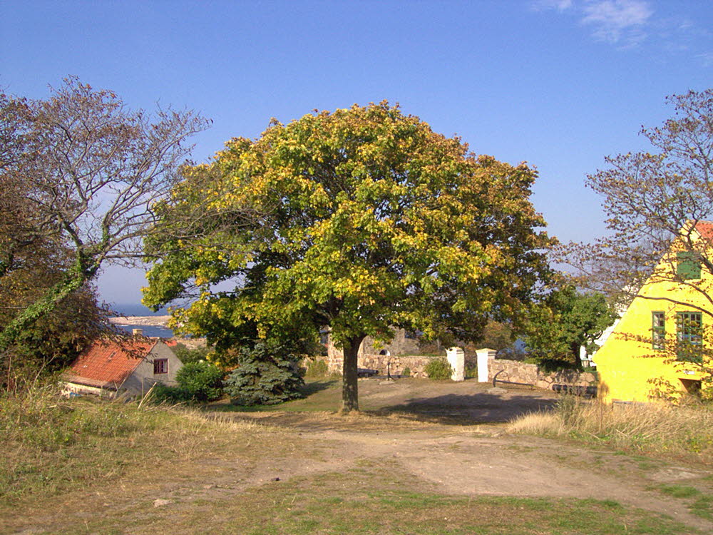 fotos christiansoe 027